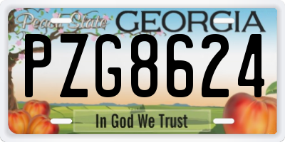 GA license plate PZG8624