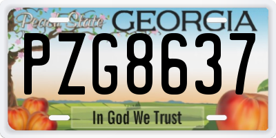 GA license plate PZG8637