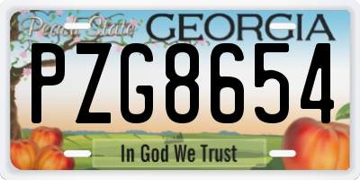 GA license plate PZG8654