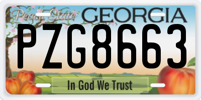 GA license plate PZG8663
