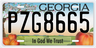 GA license plate PZG8665