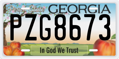 GA license plate PZG8673