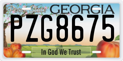 GA license plate PZG8675