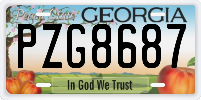 GA license plate PZG8687