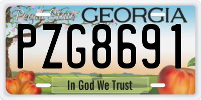 GA license plate PZG8691