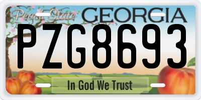 GA license plate PZG8693