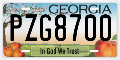 GA license plate PZG8700