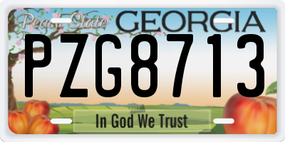 GA license plate PZG8713
