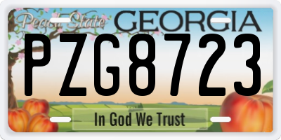 GA license plate PZG8723