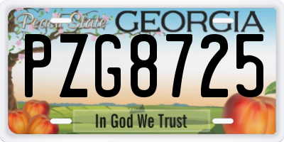 GA license plate PZG8725