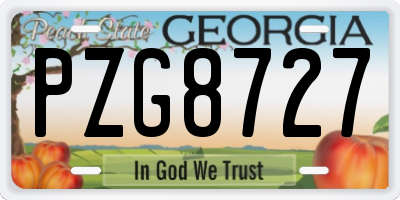GA license plate PZG8727