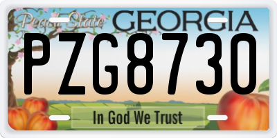 GA license plate PZG8730