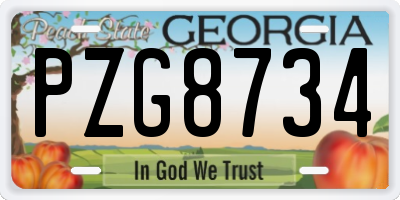 GA license plate PZG8734