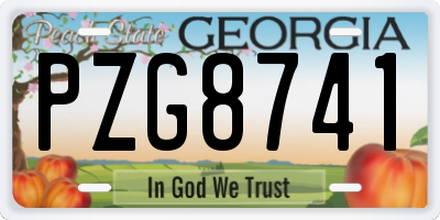 GA license plate PZG8741
