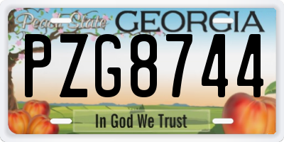 GA license plate PZG8744