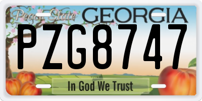 GA license plate PZG8747
