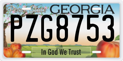 GA license plate PZG8753