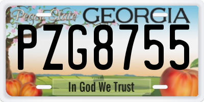 GA license plate PZG8755