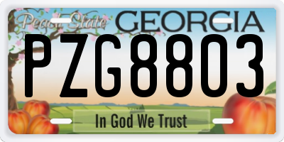 GA license plate PZG8803