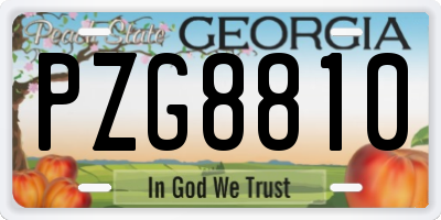 GA license plate PZG8810