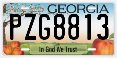 GA license plate PZG8813
