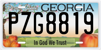 GA license plate PZG8819