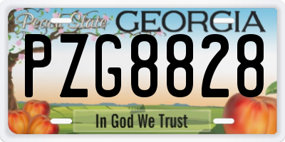 GA license plate PZG8828