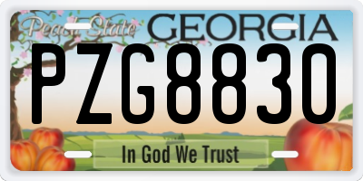 GA license plate PZG8830