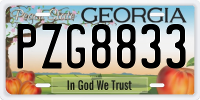 GA license plate PZG8833