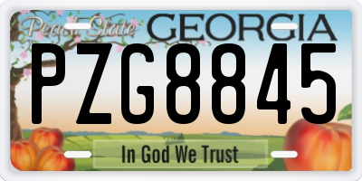 GA license plate PZG8845