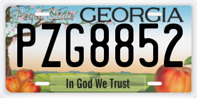 GA license plate PZG8852
