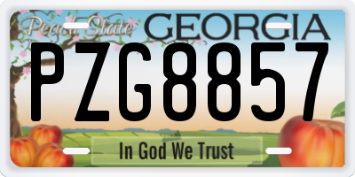 GA license plate PZG8857