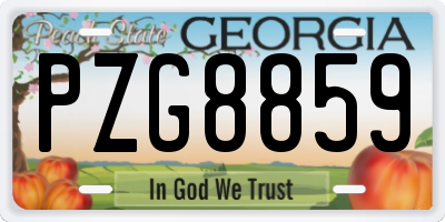 GA license plate PZG8859