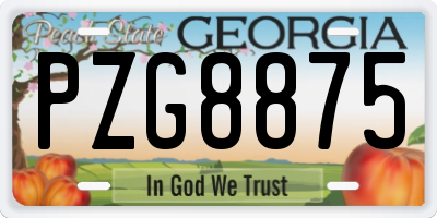 GA license plate PZG8875
