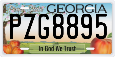 GA license plate PZG8895
