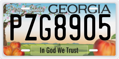 GA license plate PZG8905