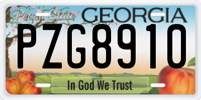 GA license plate PZG8910