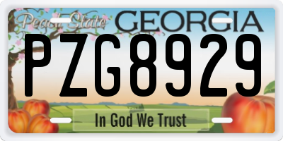 GA license plate PZG8929