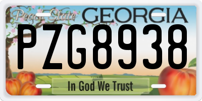 GA license plate PZG8938