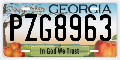 GA license plate PZG8963