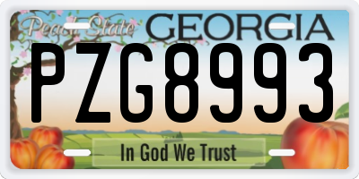 GA license plate PZG8993