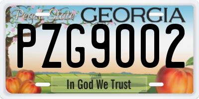 GA license plate PZG9002
