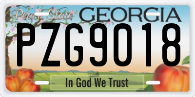 GA license plate PZG9018