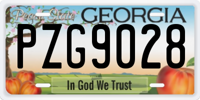 GA license plate PZG9028