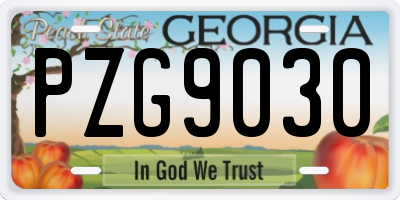 GA license plate PZG9030