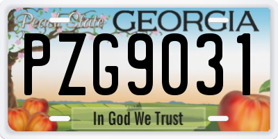 GA license plate PZG9031