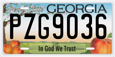 GA license plate PZG9036