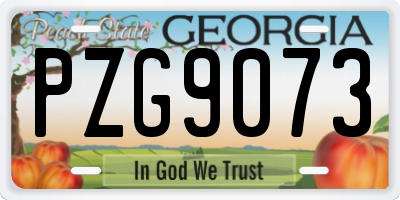 GA license plate PZG9073
