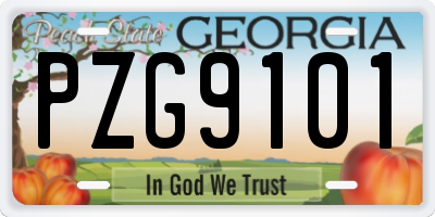 GA license plate PZG9101