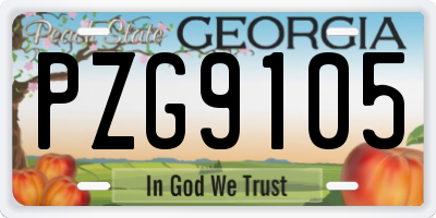 GA license plate PZG9105